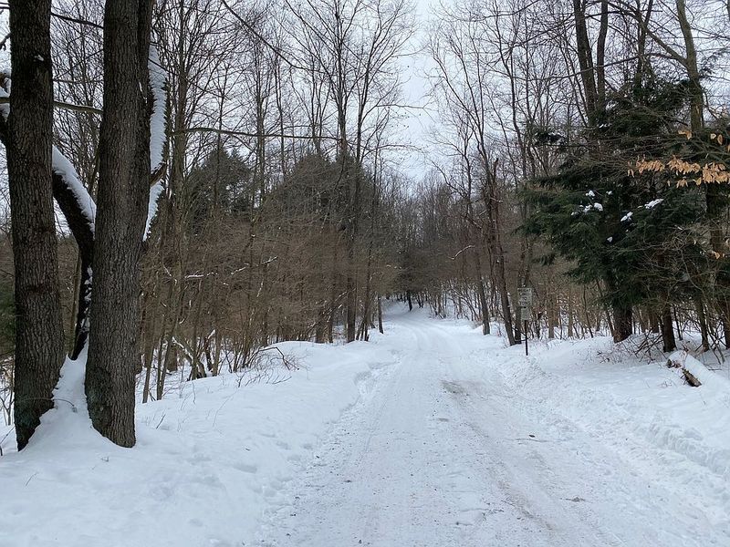 Winter Quiet, Snowy Light