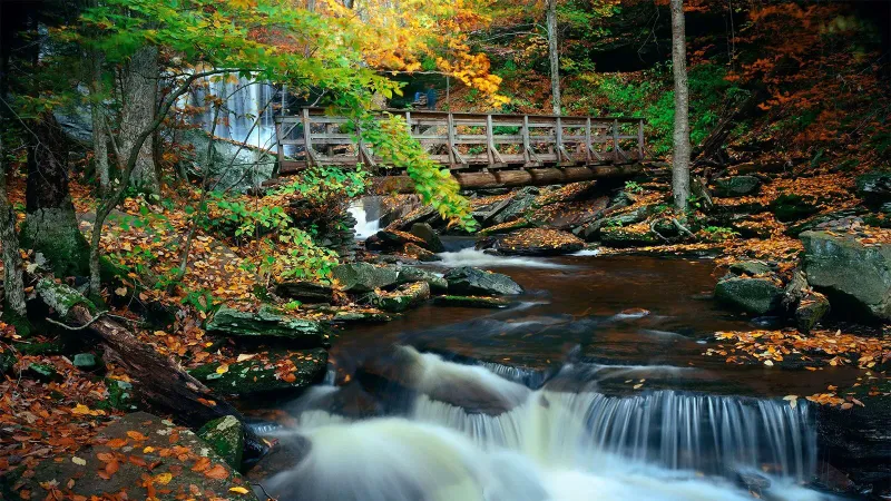 Ricketts Glen State Park, Benton