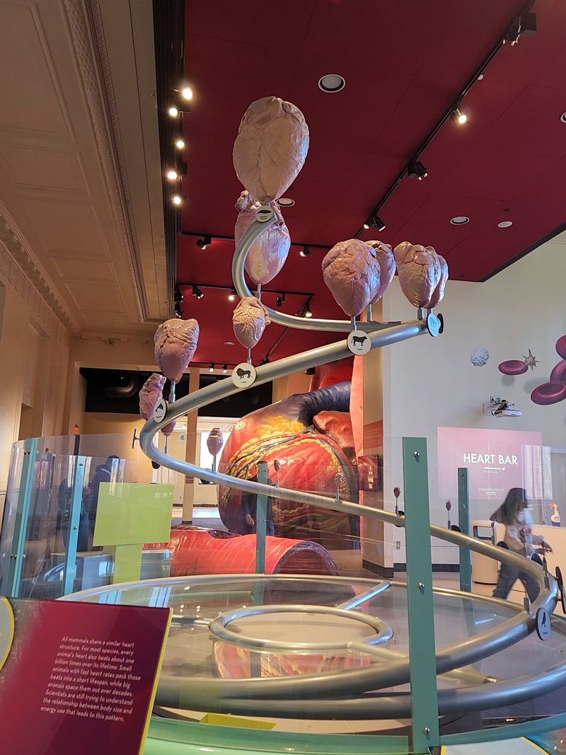 The Franklin Institute, Philadelphia