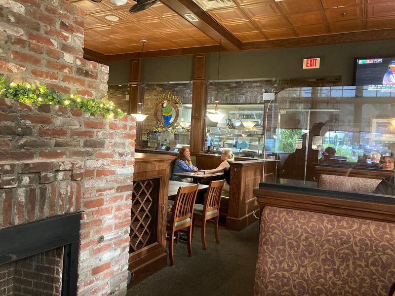 Green Parrot – Newtown