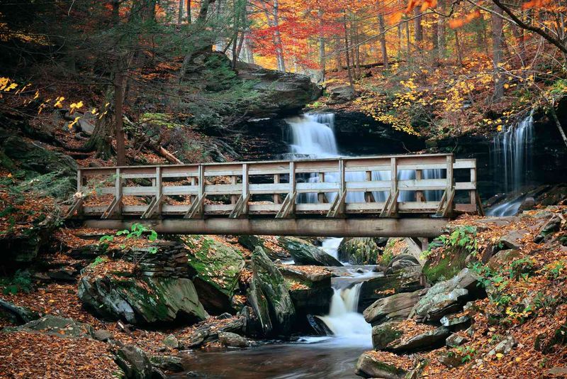 Ricketts Glen State Park (Benton)