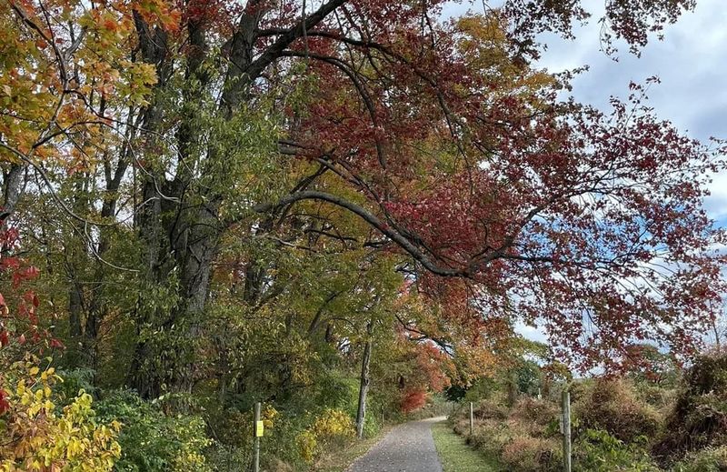Willow Point Trail, Middle Creek Wildlife Management Area