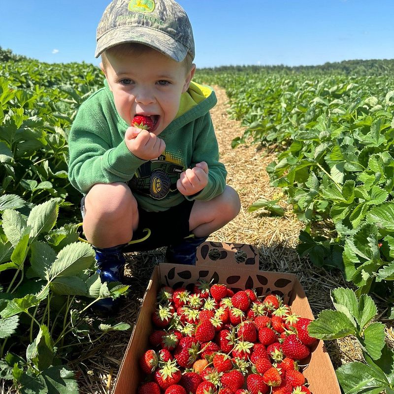 Shaw Orchards, Stewartstown