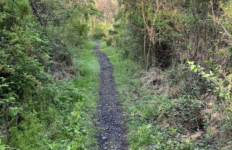 Cold War Nike Missile Site