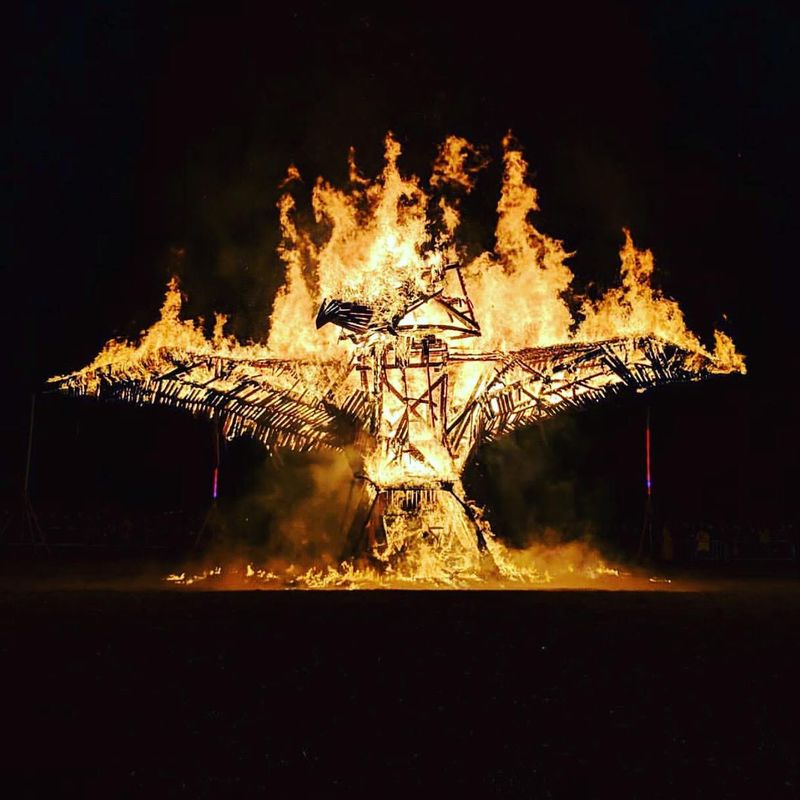 Festivals That Feel Like Family: Firebird, Blobfest, And More