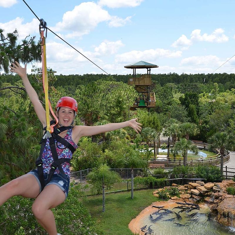 Screamin Gator Zip Line