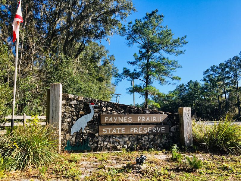 Paynes Prairie Preserve State Park