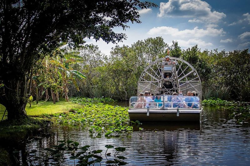 Everglades half-day: boardwalk + short paddling or tram/boat add-on