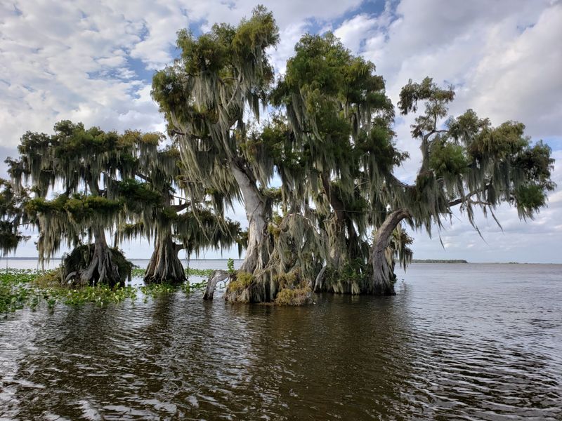 Lake Istokpoga (Highlands County)