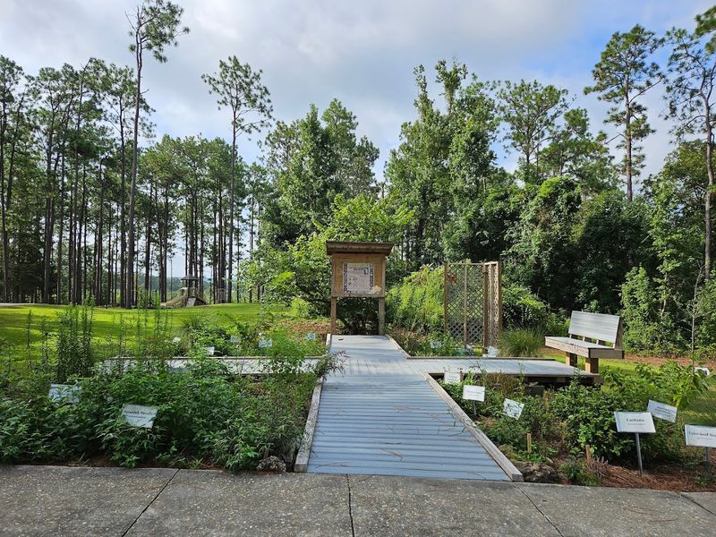 Family-Friendly Playgrounds and Butterfly Garden