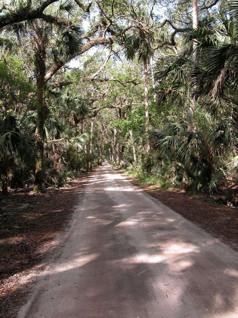 Old Kings Road (Flagler County)