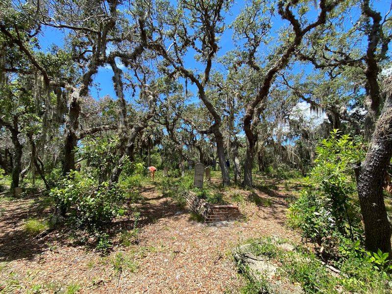 Wildlife Watching on a Remote Shore