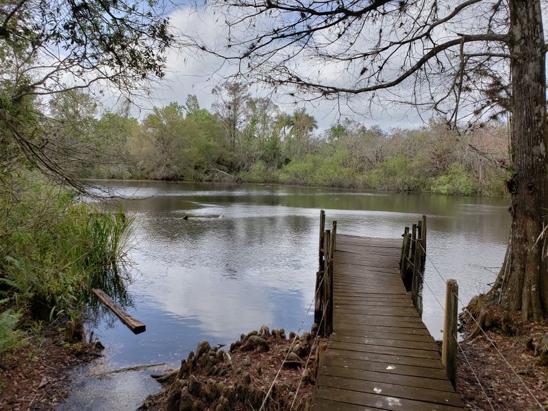 Fakahatchee Strand Preserve State Park
