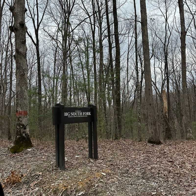 Why It's One of Tennessee's Most Unique Hikes