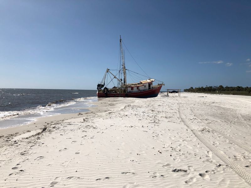 Pristine Dunes and Sea Oats