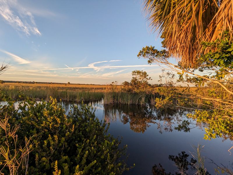 Big Cypress National Preserve