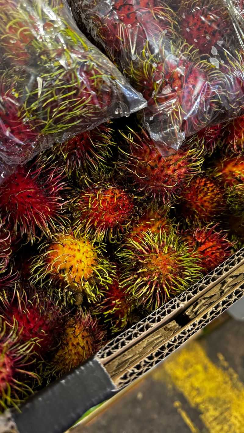 Artisan Mushrooms and Foraged Finds