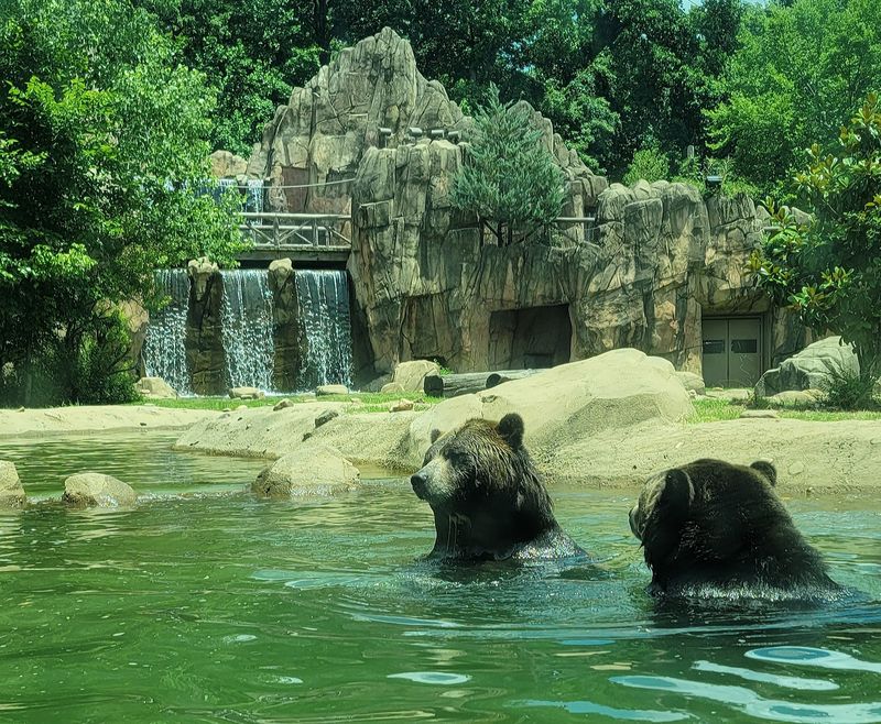Memphis Zoo
