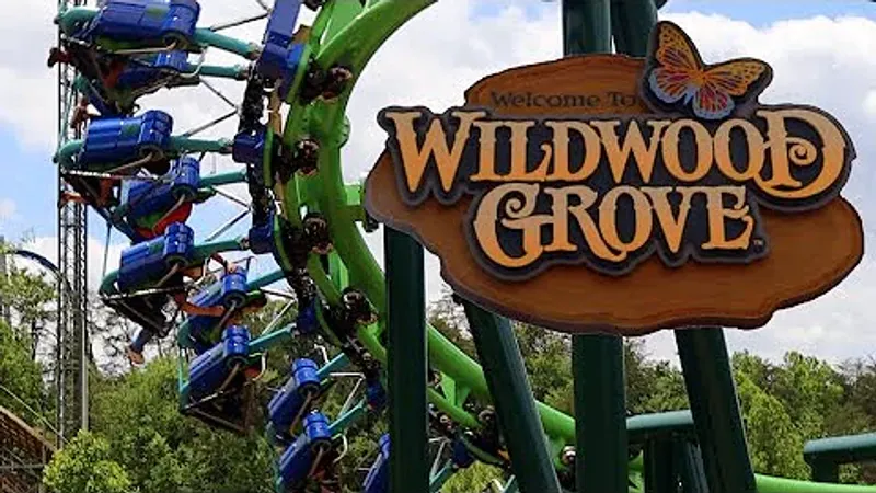 Dragonflier (Wildwood Grove)