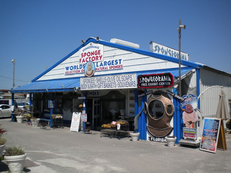 Sponge Factory