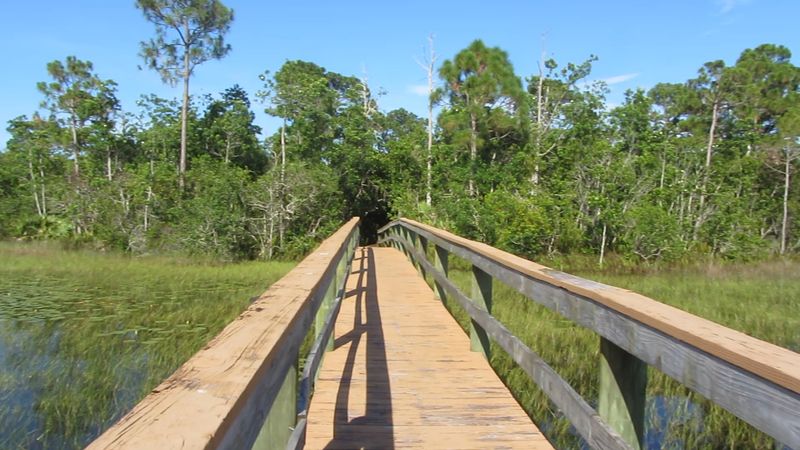 Spruce Bluff Preserve History Walk