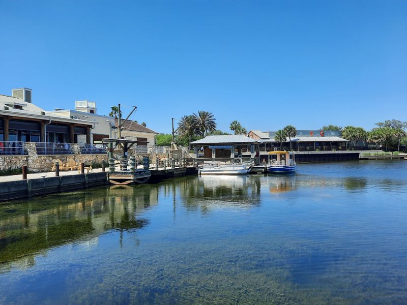 The Villages / Wildwood (Central Florida)