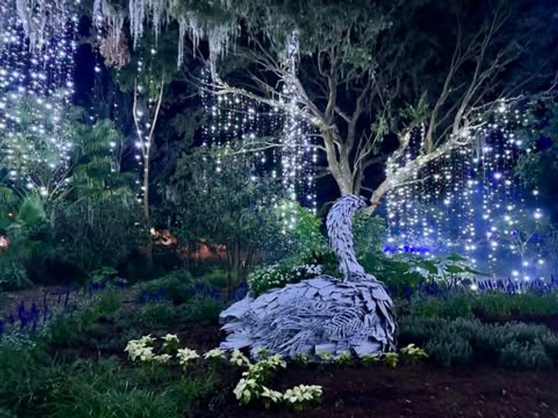 Leu Gardens (“Dazzling Nights” Holiday Light Experience)