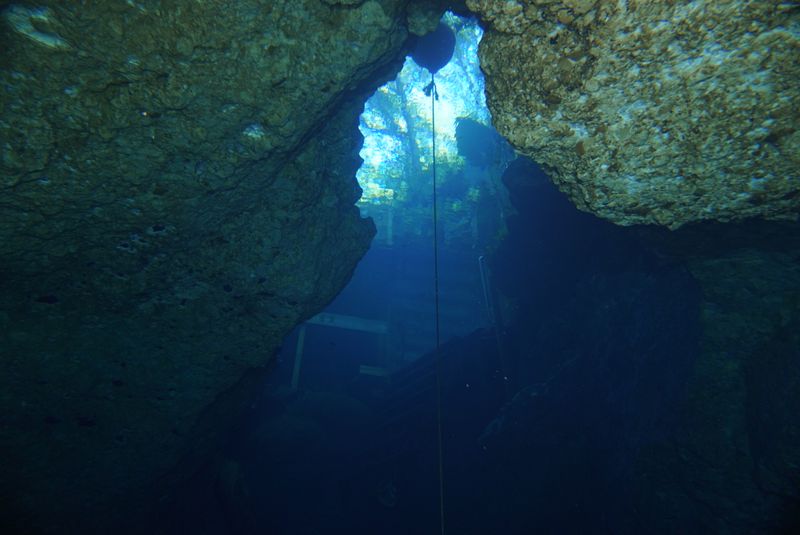 Why Paradise Springs Is One of Florida’s Most Magical Hidden Places