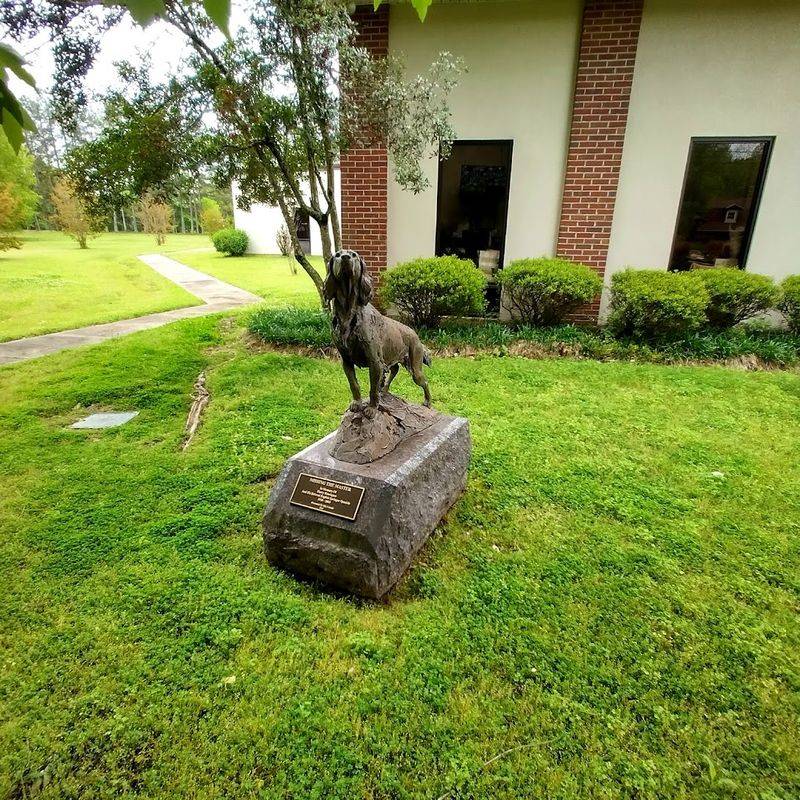 Planning a Visit to the National Bird Dog Museum in Grand Junction