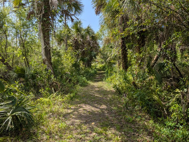 Fakahatchee Strand Preserve State Park (Copeland)