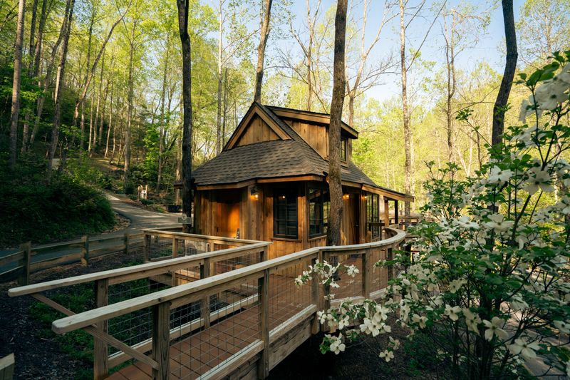 Treehouse Grove at Norton Creek Resort