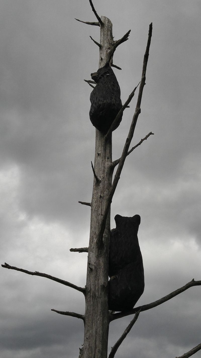 Behind the Scenes: How the Rehabilitation Process Works