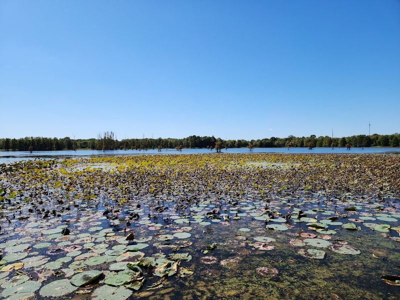 Hatchie National Wildlife Refuge &mdash; Stanton