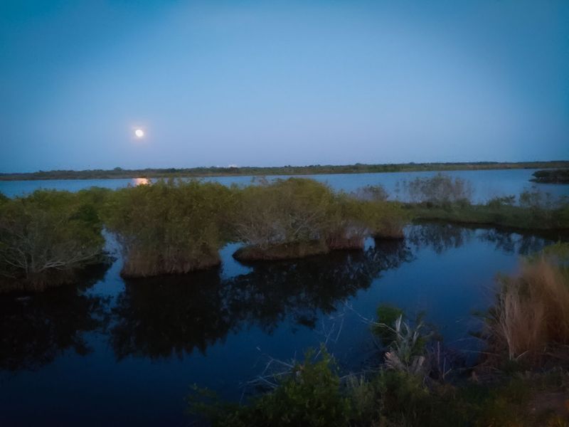 Launch Spots Near Indian River Lagoon Preserve State Park