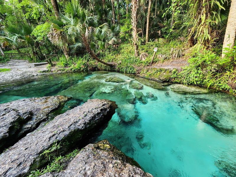 The Springhead and Natural Lazy River Float