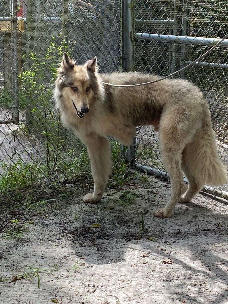 Practical Tips for a Smooth Day