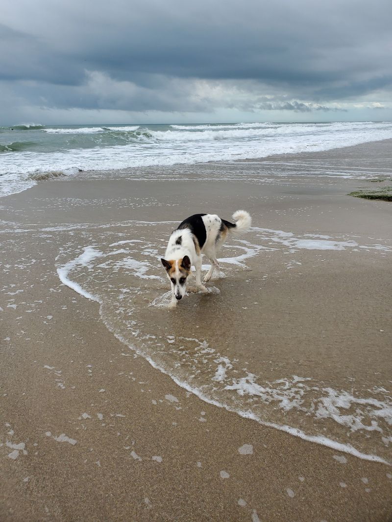 Canova Beach Park (Indian Harbour Beach, FL)