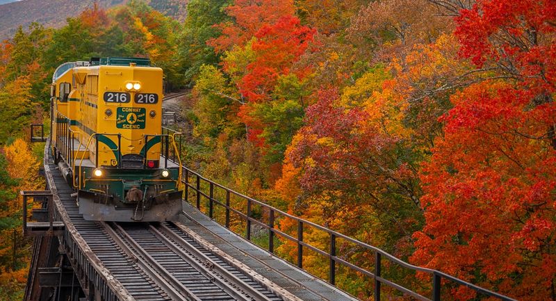 Scenic Train Rides