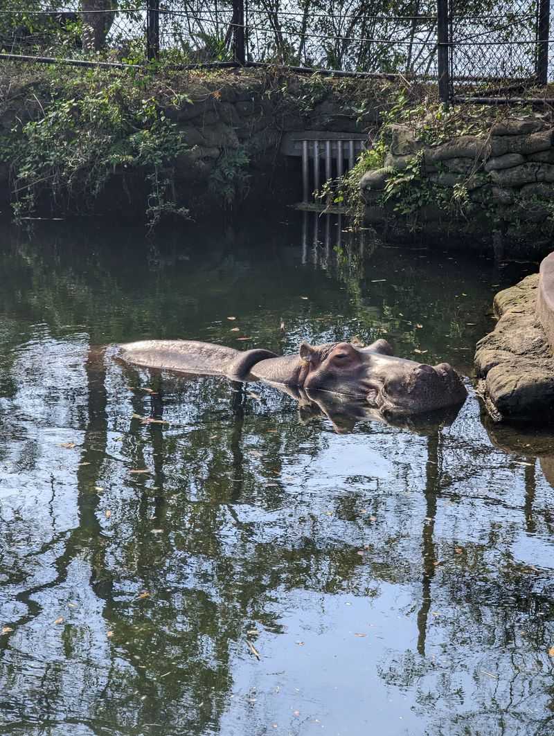 Where Nature and Nautical Vibes Rule