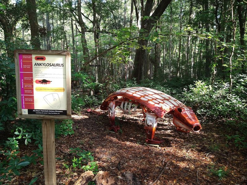 Playgrounds, Programs, and Animal Encounters