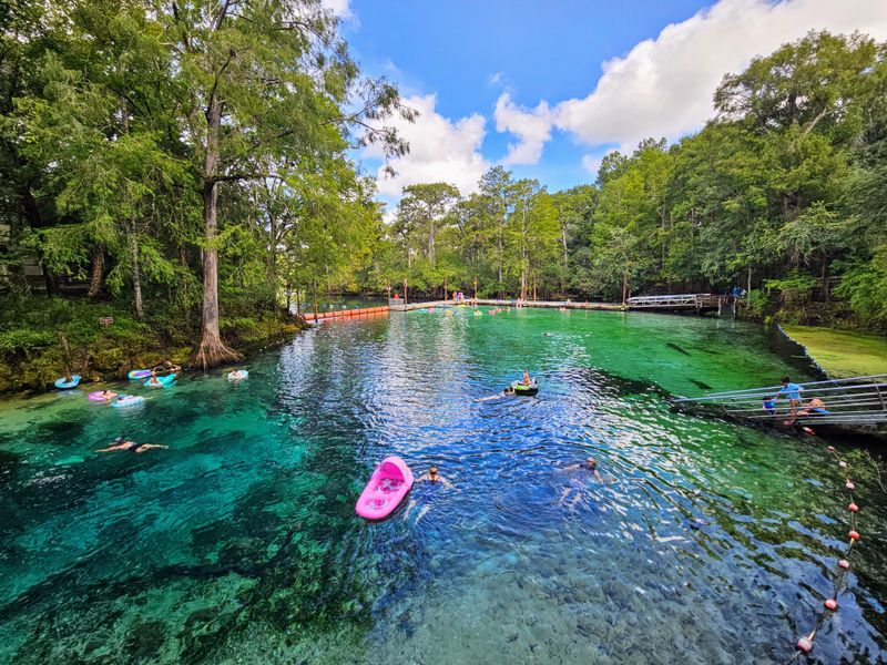 Fanning Springs (near Fanning Springs)