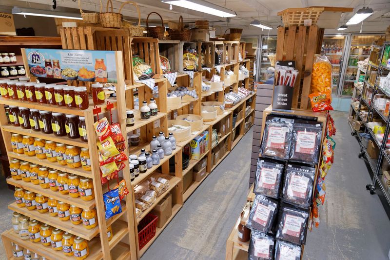 Insider Tips: Hours, Lines, and What to Bring