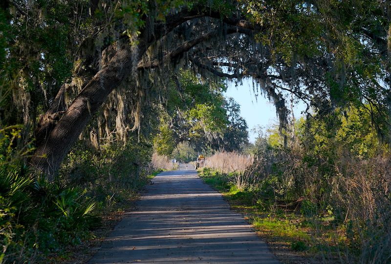 Pinellas Trail (Certain Northern Sections – Tarpon Springs Area)