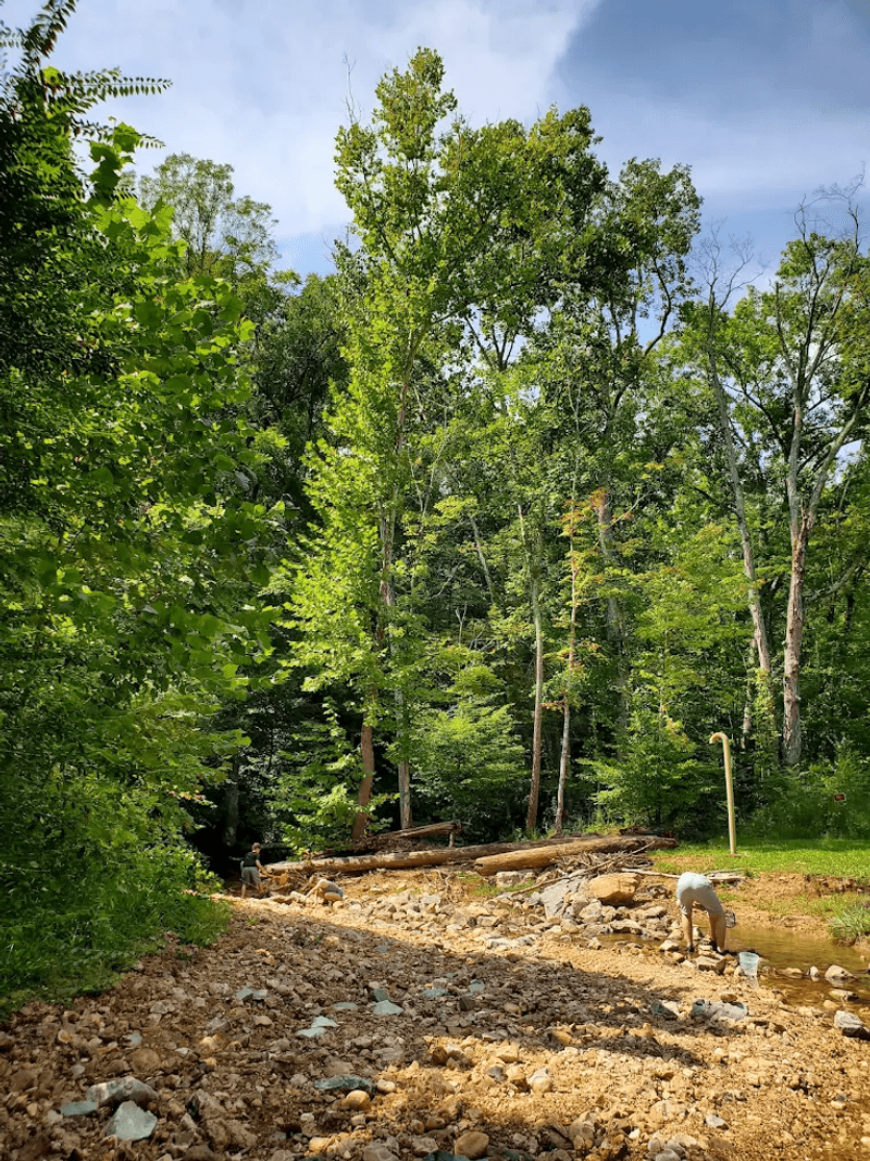 Peaceful Nature Trails for Walking and Exploring