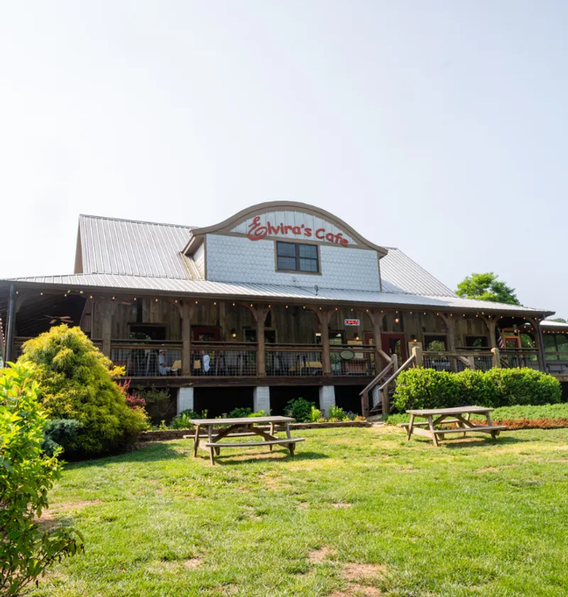 The Story Behind Elvira's Cafe