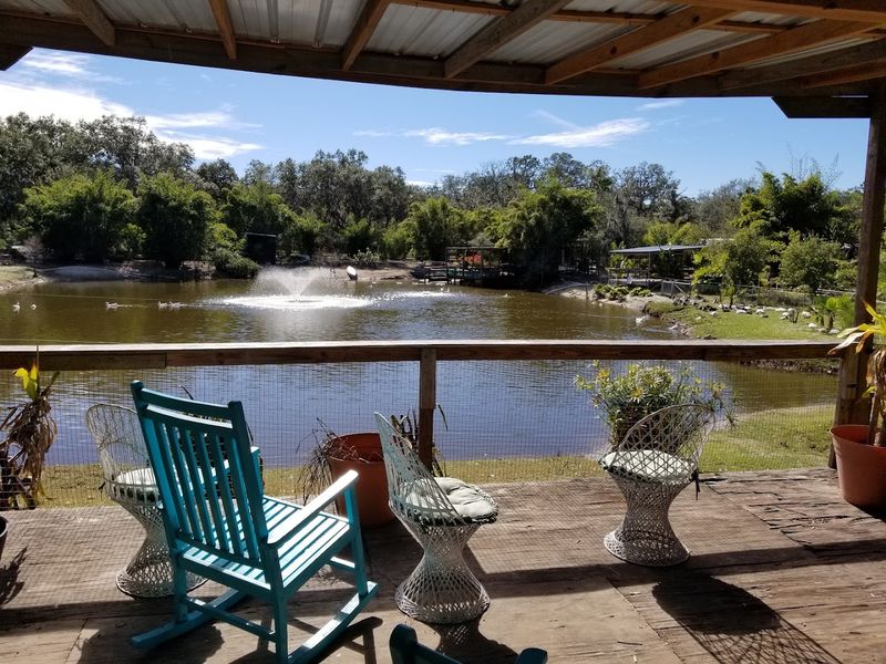 Playgrounds, Zip Lines, And The Corn Kernel Pit