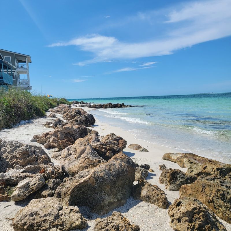 Rod and Reel Memories