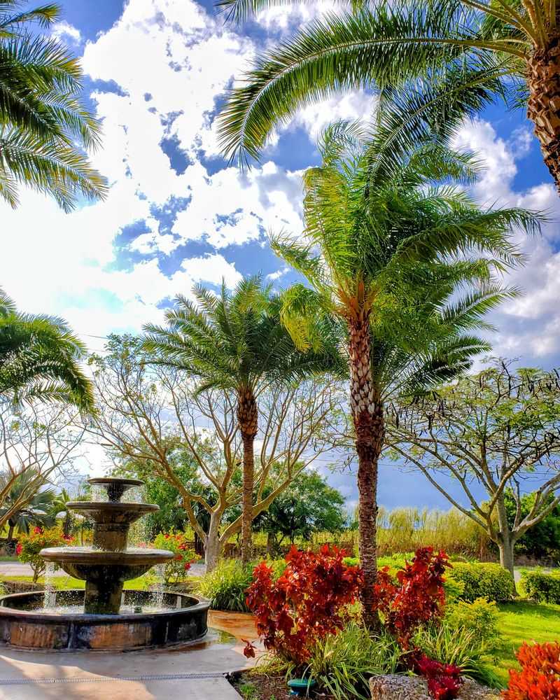 Planning Your Perfect Visit