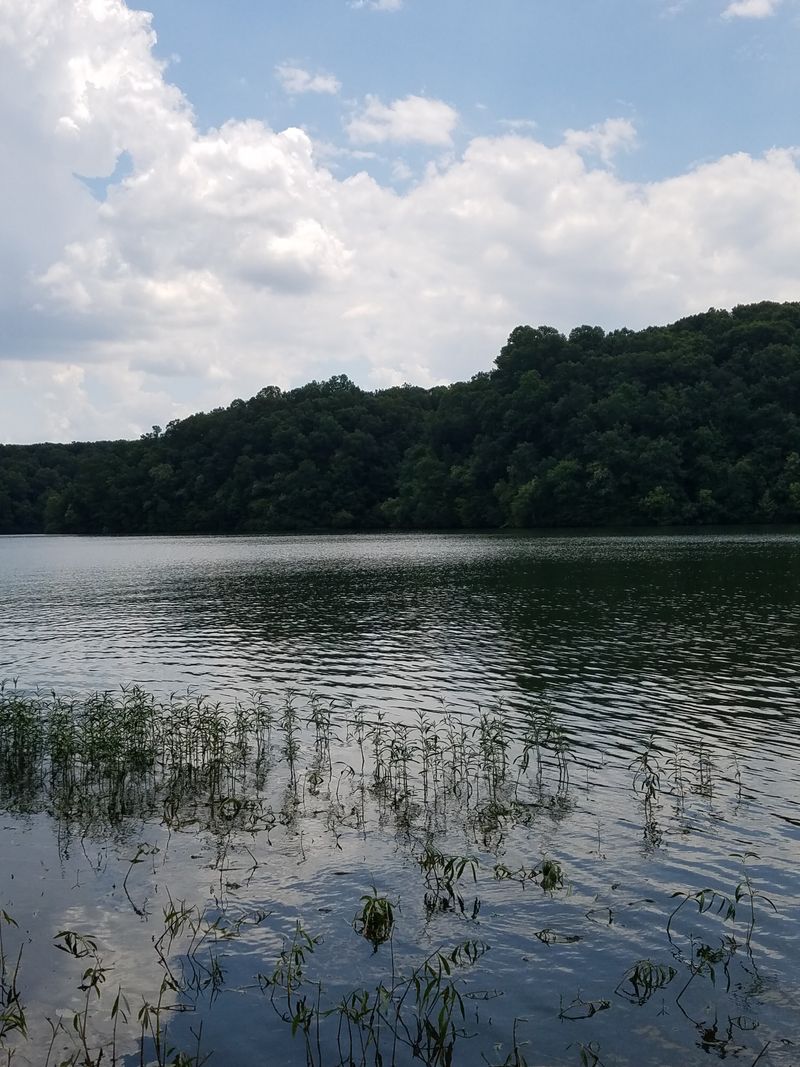 Laurel Hill Lake (Lawrenceburg)
