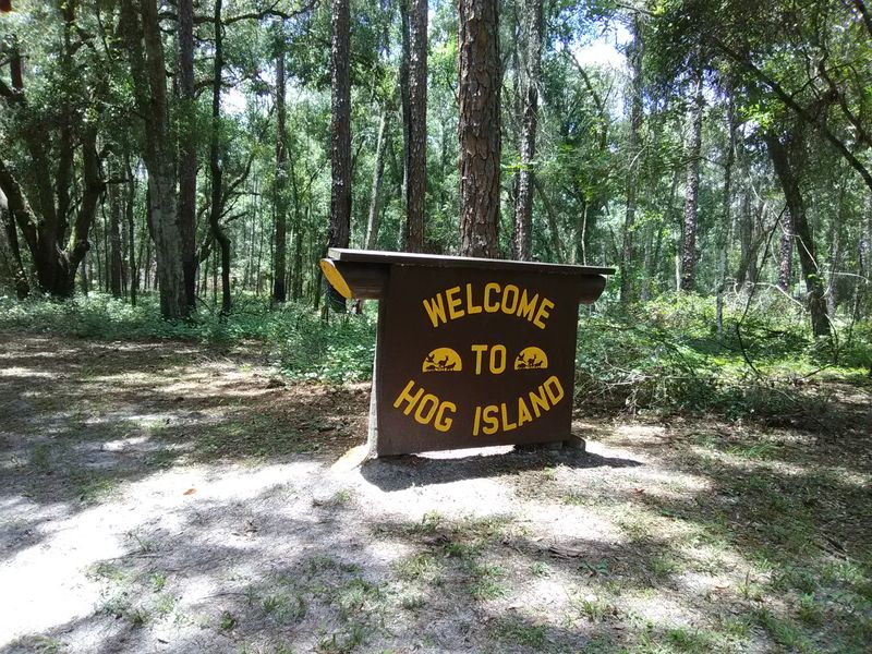 Hog Island